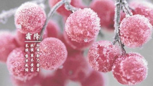 小吃培訓(xùn)：霜降，最后的秋