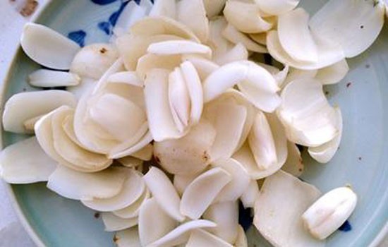 小吃培訓：學校食物檔案系列之百合