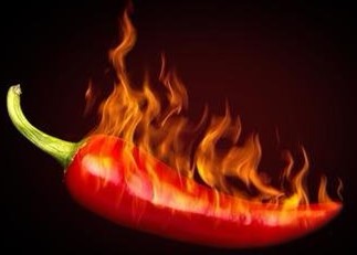 小吃培訓：學校飲食健康篇---無辣不歡