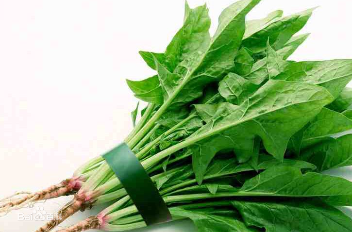 小吃培訓：學校食物檔案系列之菠菜