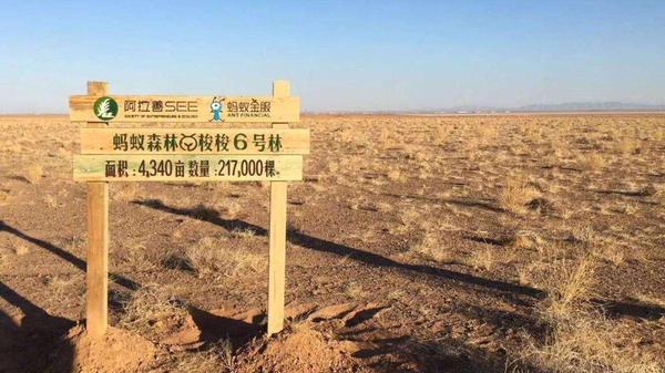 小吃培訓：植樹節， e起植樹去