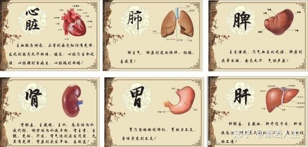 石家莊飲食集團技工學(xué)校：滋養(yǎng)五臟，應(yīng)該分著吃