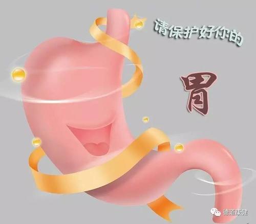 石家莊市飲食集團技工學校：合理養(yǎng)胃  守胃健康