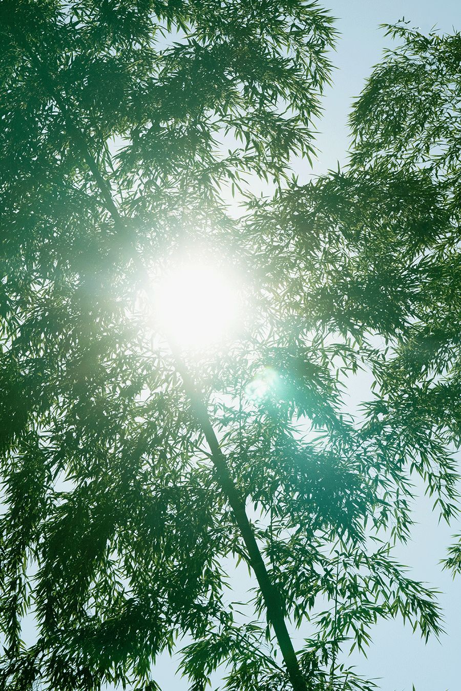 加長(zhǎng)版三伏天來(lái)襲，請(qǐng)與它和平相處