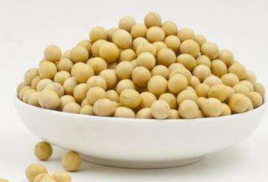 2-200201130616320.jpg 2-200201130616320.jpg