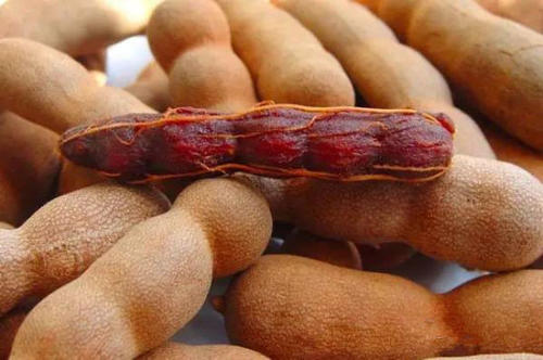 2-200226125PIT.jpg 2-200226125PIT.jpg