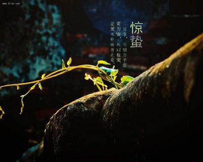 2-200305093AN60.jpg 2-200305093AN60.jpg