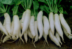 2-2003110T430C7.jpg 2-2003110T430C7.jpg