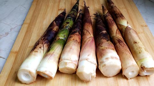 小吃培訓：春季養生小手冊