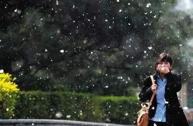 1-20033009105G27.jpg 1-20033009105G27.jpg